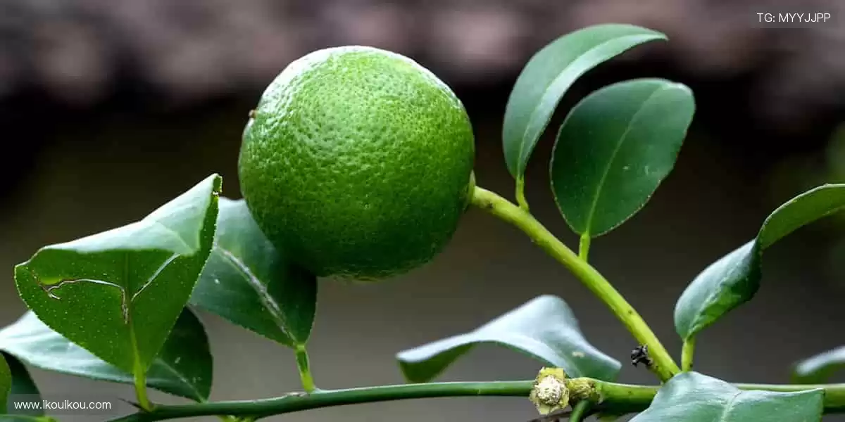 📺高清直播,每一个进球都让你身临其境!🏀